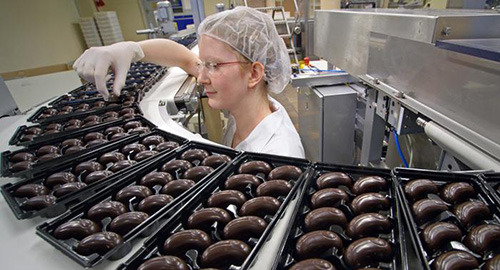 جهان بدون زنبور چگونه است؟