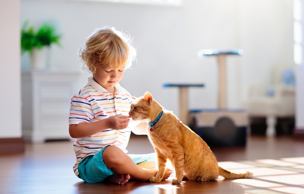 نگهداری از گربه در دوران کودکی و ارتباط آن با خطر ابتلا به روان پریشی در بزرگسالی! نگهداری از گربه در دوران کودکی و ارتباط آن با خطر ابتلا به روان پریشی در بزرگسالی!