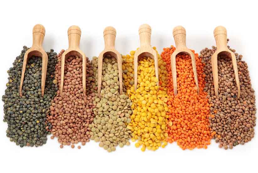 عدس؛ از محتوای تغذیه ای تا فواید شگفت انگیز عدس؛ از محتوای تغذیه ای تا فواید شگفت انگیز