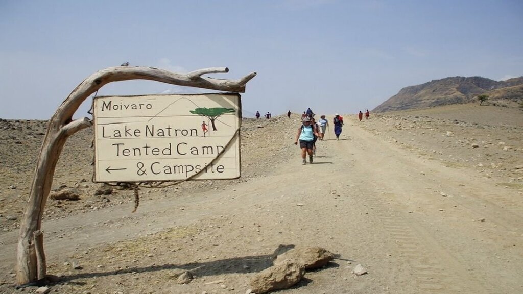 دریاچه مرموزی که حیوانات را به سنگ تبدیل میکند! دریاچه مرموزی که حیوانات را به سنگ تبدیل میکند!