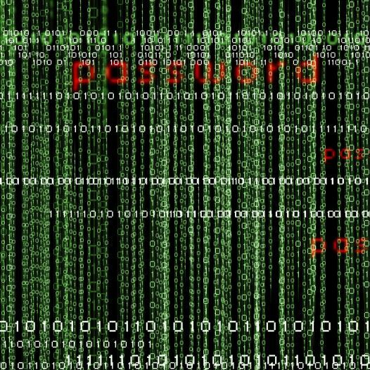 مدیر شرکت امنیت سایبری