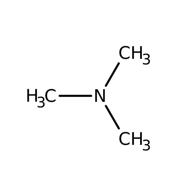 تری متیل آمینوری: آنچه باید در مورد سندرم بوی ماهی بدانیم تری متیل آمینوری: آنچه باید در مورد سندرم بوی ماهی بدانیم